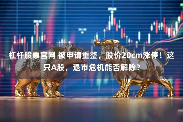 杠杆股票官网 被申请重整，股价20cm涨停！这只A股，退市危机能否解除？
