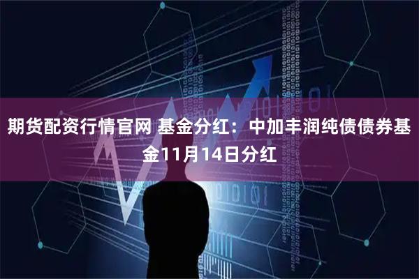 期货配资行情官网 基金分红：中加丰润纯债债券基金11月14日分红