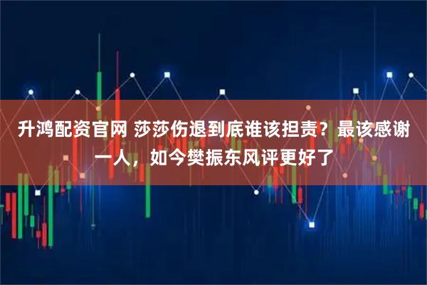 升鸿配资官网 莎莎伤退到底谁该担责？最该感谢一人，如今樊振东风评更好了
