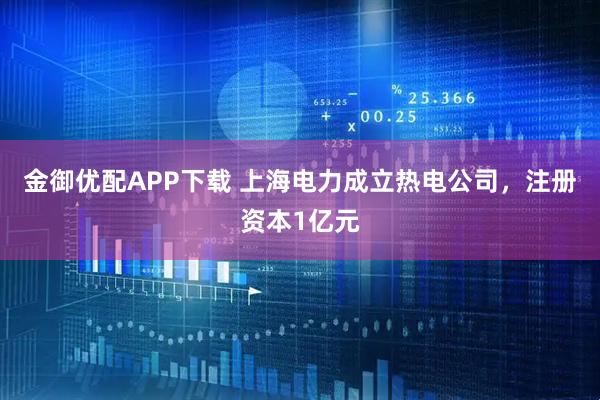 金御优配APP下载 上海电力成立热电公司，注册资本1亿元