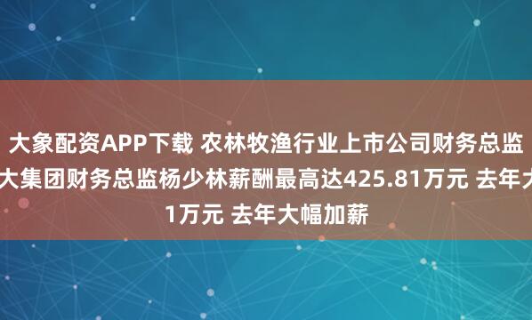 大象配资APP下载 农林牧渔行业上市公司财务总监PK：海大集团财务总监杨少林薪酬最高达425.81万元 去年大幅加薪