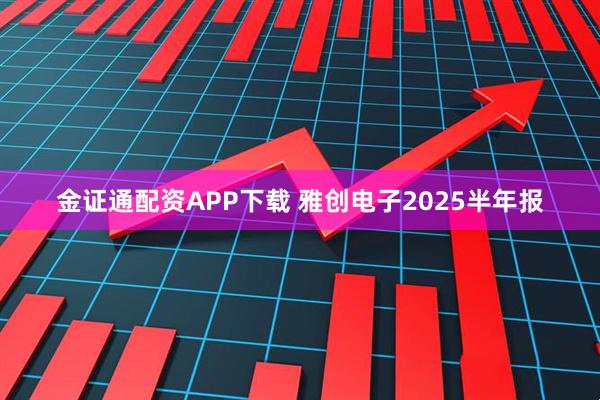 金证通配资APP下载 雅创电子2025半年报